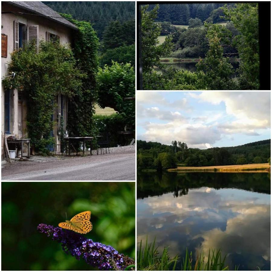 Chambres D'Hotes A L'Etang D'Yonne Arleuf Exteriör bild